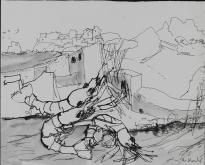 Sperlonga, Gamberi (Garnelen)